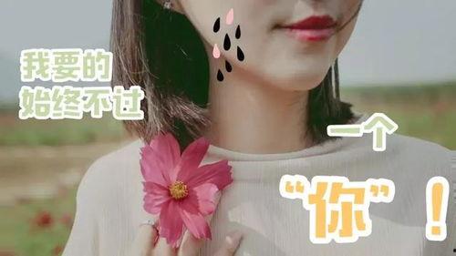 娱乐吃瓜酱有趣的灵魂,揭秘娱乐圈那些有趣的灵魂