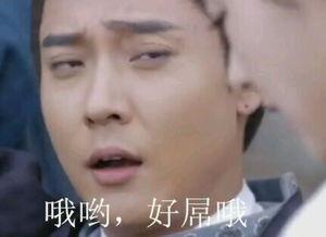 白子画吐血表情包